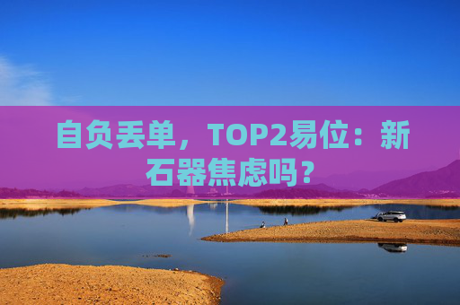 自负丢单,TOP2易位:新石器焦虑吗? 第1张 自负丢单,TOP2易位:新石器焦虑吗? 第1张