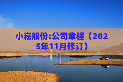 小崧股份:公司章程（2025年11月修订）