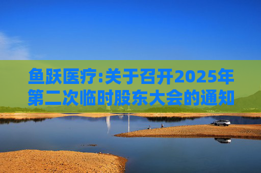 鱼跃医疗:关于召开2025年第二次临时股东大会的通知