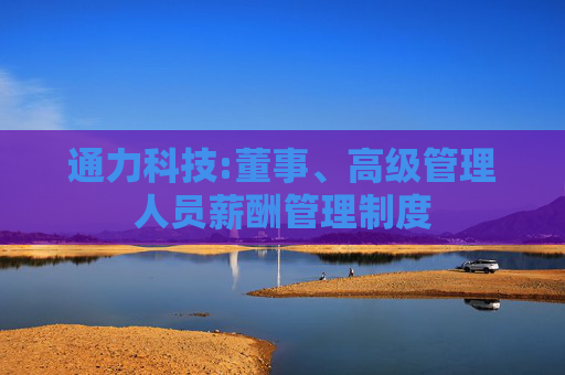 通力科技:董事、高级管理人员薪酬管理制度  第1张