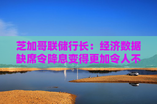 芝加哥联储行长:经济数据缺席令降息变得更加令人不安 第1张 芝加哥联储行长:经济数据缺席令降息变得更加令人不安 第1张