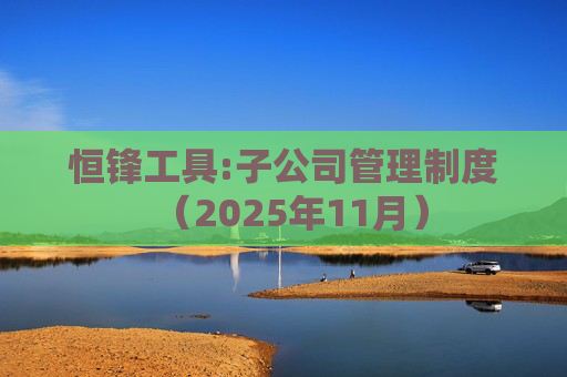 恒锋工具:子公司管理制度（2025年11月）