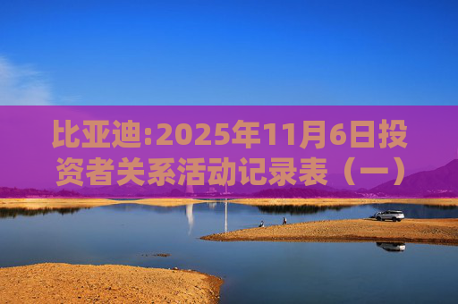 比亚迪:2025年11月6日投资者关系活动记录表（一）