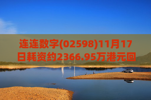 连连数字(02598)11月17日耗资约2366.95万港元回购170.5万股