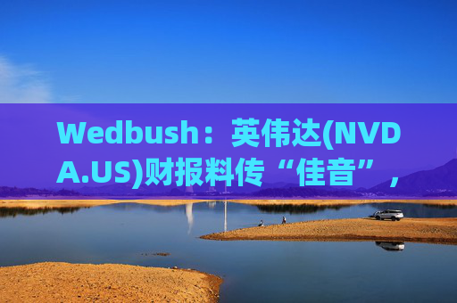 Wedbush:英伟达(NVDA.US)财报料传“佳音”,AI泡沫论将被推翻 第1张 Wedbush:英伟达(NVDA.US)财报料传“佳音”,AI泡沫论将被推翻 第1张