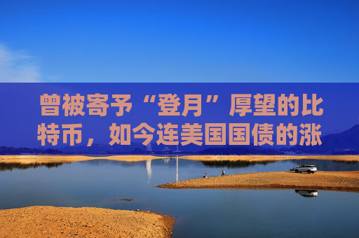 曾被寄予“登月”厚望的比特币，如今连美国国债的涨幅不如
