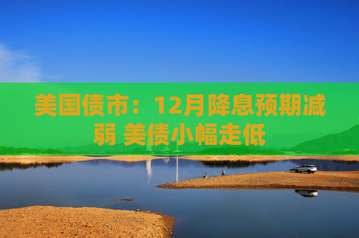 美国债市：12月降息预期减弱 美债小幅走低