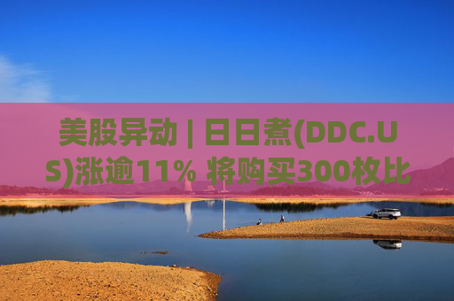 美股异动 | 日日煮(DDC.US)涨逾11% 将购买300枚比特币并将总持有量增至1383枚
