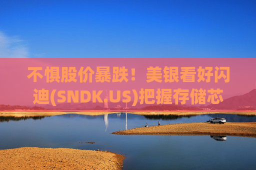 不惧股价暴跌！美银看好闪迪(SNDK.US)把握存储芯片“缺货潮”机遇
