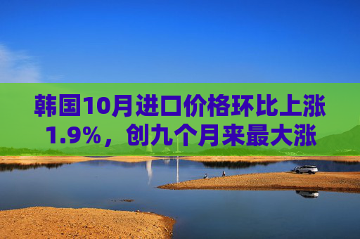 韩国10月进口价格环比上涨1.9%，创九个月来最大涨幅