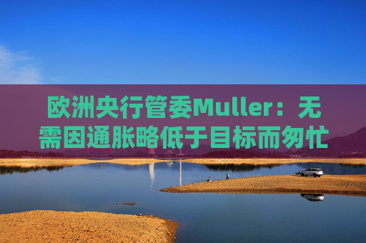 欧洲央行管委Muller：无需因通胀略低于目标而匆忙降息