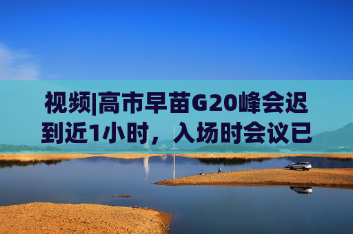 视频|高市早苗G20峰会迟到近1小时，入场时会议已开始，此前发文称花了很长时间挑选“不会让人发笑的服装”