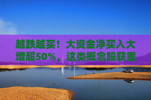越跌越买!大资金净买入大增超50%,这类概念股获重点关注 第1张 越跌越买!大资金净买入大增超50%,这类概念股获重点关注 第1张