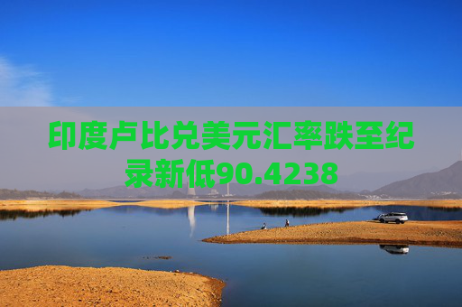 印度卢比兑美元汇率跌至纪录新低90.4238