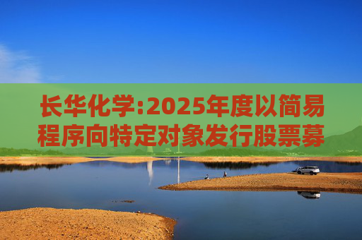 长华化学:2025年度以简易程序向特定对象发行股票募集说明书(申报稿)