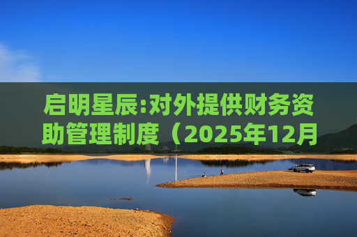 启明星辰:对外提供财务资助管理制度(2025年12月)