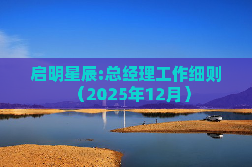启明星辰:总经理工作细则(2025年12月)