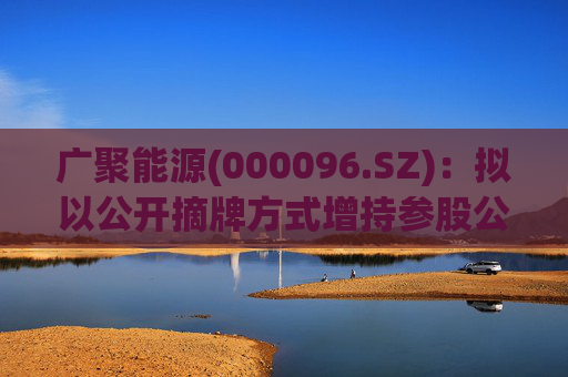 广聚能源(000096.SZ)：拟以公开摘牌方式增持参股公司妈湾电力8%股权