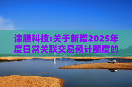 津膜科技:关于新增2025年度日常关联交易预计额度的公告
