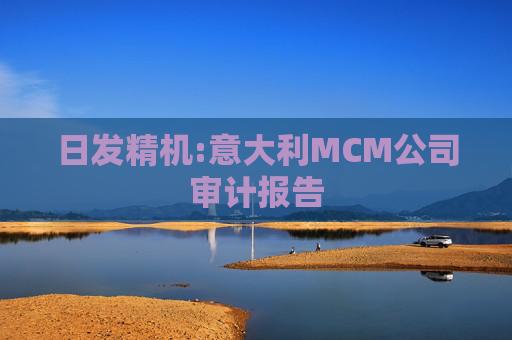 日发精机:意大利MCM公司审计报告