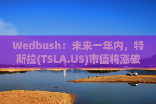 Wedbush:未来一年内,特斯拉(TSLA.US)市值将涨破2万亿美元 第1张 Wedbush:未来一年内,特斯拉(TSLA.US)市值将涨破2万亿美元 第1张