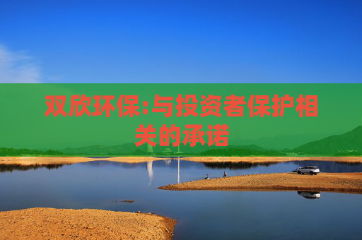 双欣环保:与投资者保护相关的承诺
