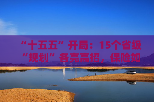 “十五五”开局：15个省级“规划”各亮高招，保险如何登场？