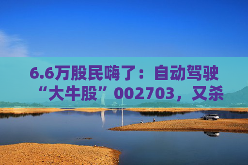 6.6万股民嗨了：自动驾驶“大牛股”002703，又杀回来了！
