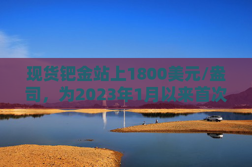 现货钯金站上1800美元/盎司，为2023年1月以来首次，今年迄今累涨超100%