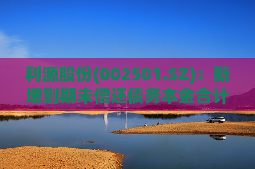 利源股份(002501.SZ)：新增到期未偿还债务本金合计4555.67万元