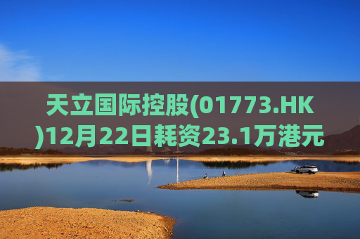 天立国际控股(01773.HK)12月22日耗资23.1万港元回购10万股