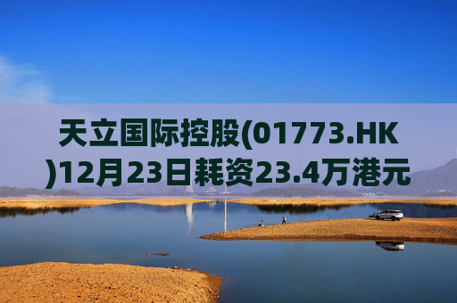 天立国际控股(01773.HK)12月23日耗资23.4万港元回购10万股