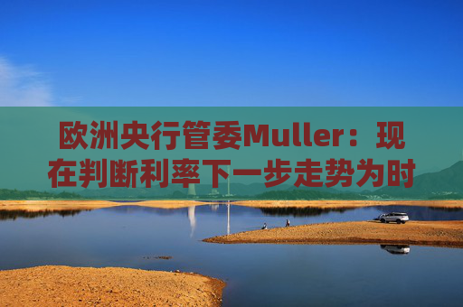 欧洲央行管委Muller：现在判断利率下一步走势为时过早