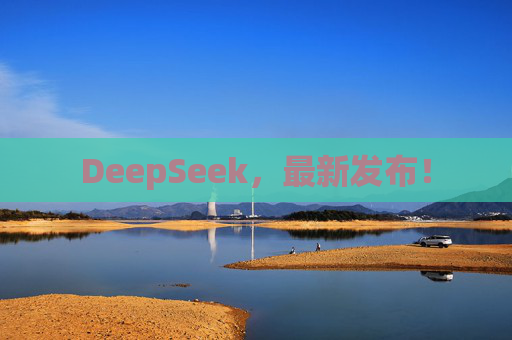 DeepSeek，最新发布！