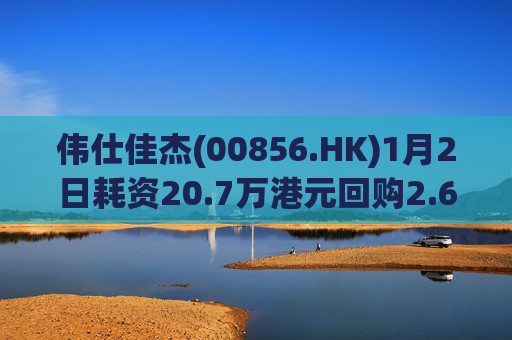 伟仕佳杰(00856.HK)1月2日耗资20.7万港元回购2.6万股