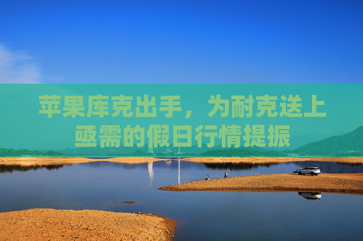 苹果库克出手，为耐克送上亟需的假日行情提振