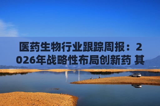 医药生物行业跟踪周报：2026年战略性布局创新药 其性价比高