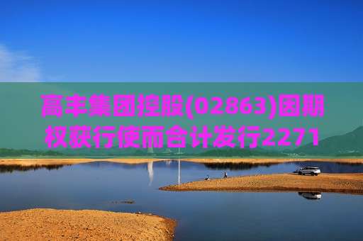 高丰集团控股(02863)因期权获行使而合计发行2271万股