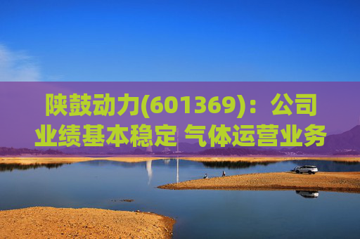 陕鼓动力(601369)：公司业绩基本稳定 气体运营业务贡献新增长引擎