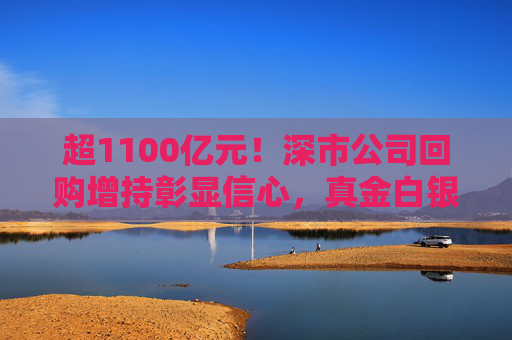 超1100亿元！深市公司回购增持彰显信心，真金白银护航市场稳定  第1张