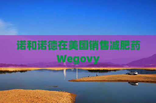 诺和诺德在美国销售减肥药Wegovy