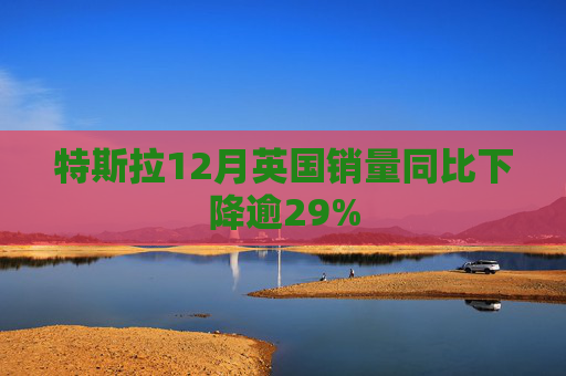 特斯拉12月英国销量同比下降逾29%