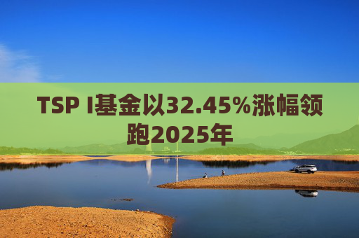 TSP I基金以32.45%涨幅领跑2025年  第1张