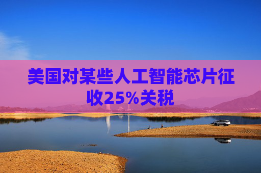 美国对某些人工智能芯片征收25%关税