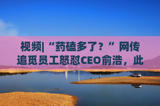 视频|“药磕多了？”网传追觅员工怒怼CEO俞浩，此前俞浩曾称打造首个百万亿美金生态