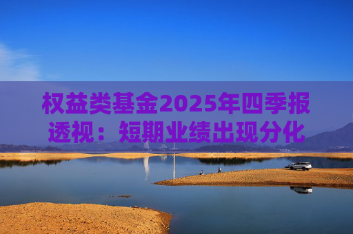 权益类基金2025年四季报透视：短期业绩出现分化