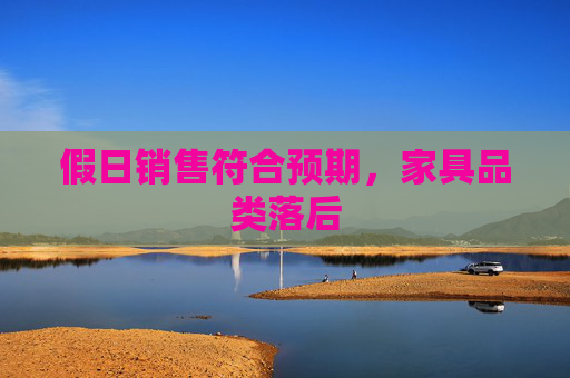 假日销售符合预期，家具品类落后