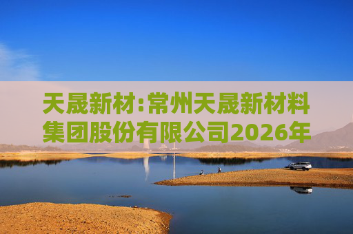 天晟新材:常州天晟新材料集团股份有限公司2026年限制性股票激励计划实施考核管理办法  第1张