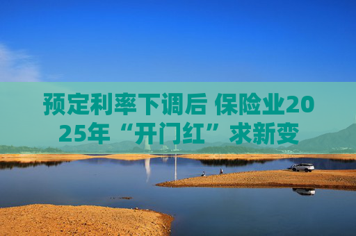 预定利率下调后 保险业2025年“开门红”求新变