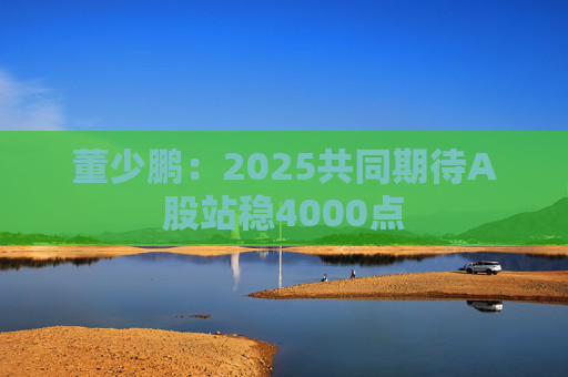 董少鹏：2025共同期待A股站稳4000点
